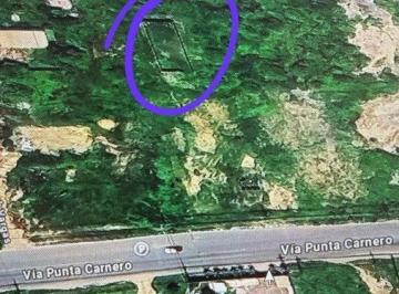 Terreno / Lote · 250m² · Vendo Terreno en Punta Carnero