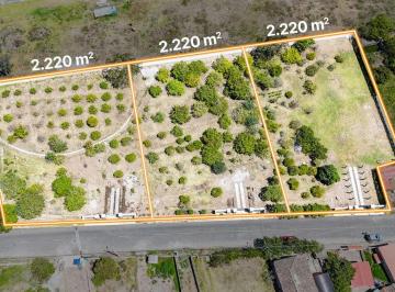 Terreno / Lote , Ibarra · Terrenos Independientes en Venta de 2.220 m² en San José de Chaltura, Ibarra