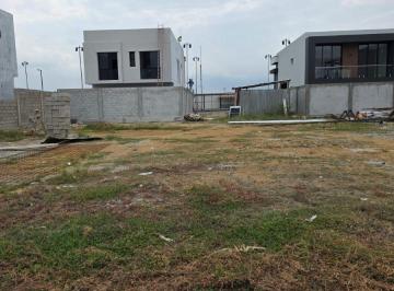 Terreno / Lote , Guayaquil · Vendo Terreno de Oportunidad en Ciudad Celeste - Babor