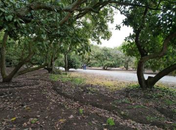 Terreno / Lote , Quito · Vendo Hermoso Terreno Plano en Guayllabamba