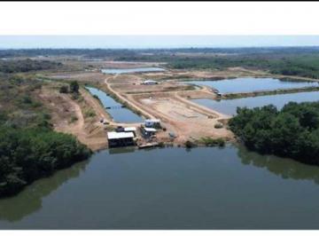 Hacienda-Quinta de 8 habitaciones, Guayaquil · Se Vende Camaronera de 250 Ha