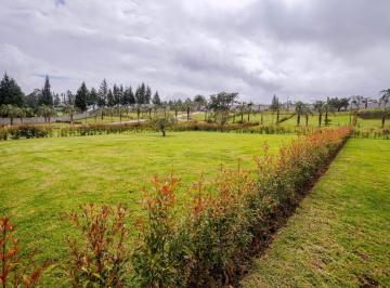 Terreno / Lote · 545m² · Venta Terreno en Puembo, en Urbanización
