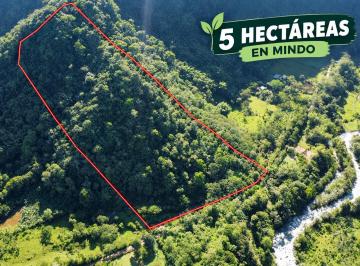 Terreno / Lote , Mindo · Propiedad de 5ha en Mindo en Venta