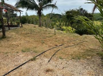 Hacienda-Quinta de 3 habitaciones, Guayaquil · Venta de Hermosa Finca 11h en El Consuelo Via a La Costa