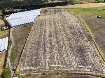 Terreno / Lote , Cayambe · Se Vende Terreno de 5,05 Hectáreas en Cayambe – Olmedo / Pesillo