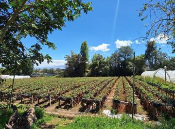 Terreno / Lote · 20148m² · Terreno con Más de 2 Hectáreas, en Venta Muy Cerca Al Pueblo de Yaruqui