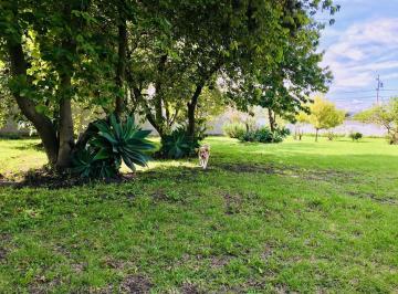 Terreno / Lote · 580m² · 3 Habitaciones · 20 Estacionamientos · Jal. Quinta Guayllabamba, Terreno 4218 m² Casa 2 Pisos, Árboles Aguacates