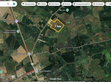 Terreno / Lote , Daule · Venta Terreno 70.000 m² Km. 12.5 de La Vía Salitre a La Derecha a 1.5 Km. Al Pie de Vía Asfaltada