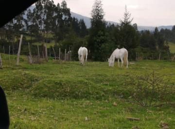 Terreno / Lote , Quito · Terreno de 1020 m² en Venta Lotizacion La Carolina Sect Pintag