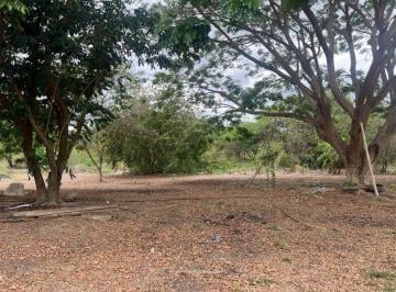 Terreno / Lote , Guayaquil · Terreno Urbano de 8,4 Hectáreas Al Pie de La Vía a La Costa (Km 24.5 – Peaje de Chongón)