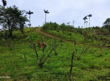 Terreno / Lote , Quito · Terrenos de 4 Ha en Venta Sect Pedro Vicente Maldonado