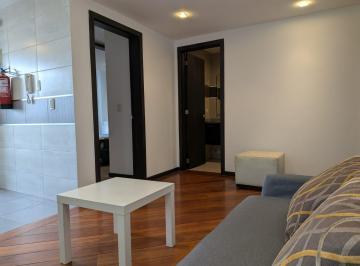 Departamento · 50m² · 1 Habitación · 1 Estacionamiento · Se Renta Suite Amoblada Sector La Carolina, Edificio Pablo Picasso