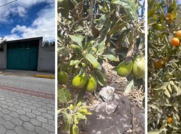 Terreno / Lote · 2800m² · 3 Habitaciones · 10 Estacionamientos · Terreno en Calderón
