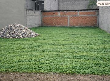 Terreno / Lote · 600m² · Terreno en El Sur a Una Cuadra de La Av 25 Julio