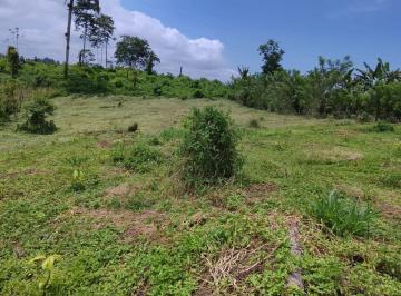 Terreno / Lote , Puerto Quito · Finca en Venta - Cantón Puerto Quito