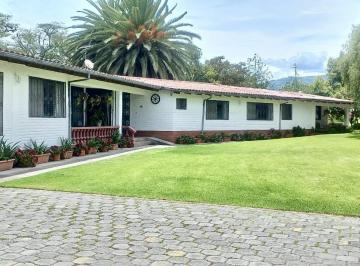 Bodega-Galpón · 355m² · 4 Habitaciones · Jal. Venta Quinta Guayllabamba, 50.000 m² Para Restaurant y Producción Agrícola