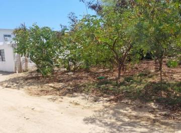 Terreno / Lote · 250m² · Venta de Terreno Limpio en Punta Blanca Entrada Punta 5 de Santa Elena