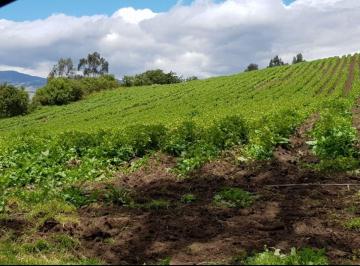 Hacienda-Quinta en Venta Norte de Machachi · Megapropiedad de 450 Ha | Potencial Turístico, Agrícola E Inmobiliario