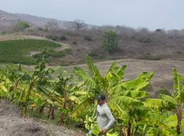 Terreno / Lote , Rocafuerte · Terreno de Venta en Rocafuerte La Quebrada