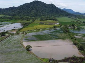 Terreno / Lote , Naranjal · Terreno Agrícola en Venta en Naranjal