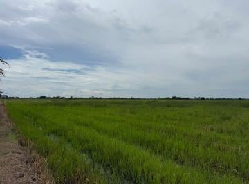 Terreno / Lote , Naranjal · Terreno Agricola en Venta 3,46 Has en Taura - N