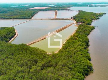 Terreno / Lote , Santa Rosa · Camaronera en Venta en Isla Pongal a un Precio Que No Puedes Ignorar