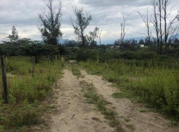 Terreno / Lote · 1m² · Terreno en Venta 24.405 m² en Checa