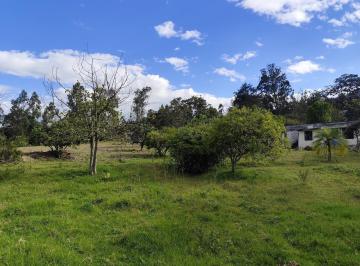 Terreno / Lote · 4000m² · Terreno en Renta en San Francisco de Pinsha, 4.000 m², Precio Negociable