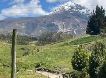 Hacienda-Quinta de 1 habitación, Latacunga · Hacienda Ganadera en Venta Pastocalle Cotopaxi