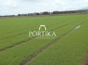 Hacienda-Quinta , El Triunfo · Venta Hacienda Tierras Arroceras Productivas, El Triunfo, Guayas