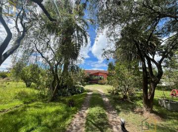 Local comercial · 260m² · 7 Habitaciones · Quinta en Puembo con Terreno 8000 M²!
