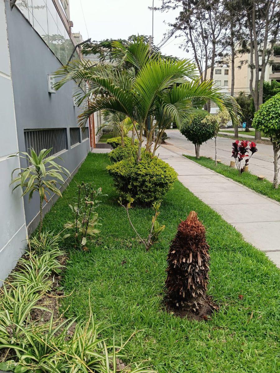 Venta de Departamento en San Borja - Lima 3 Dormitorios y - 151443300 ...