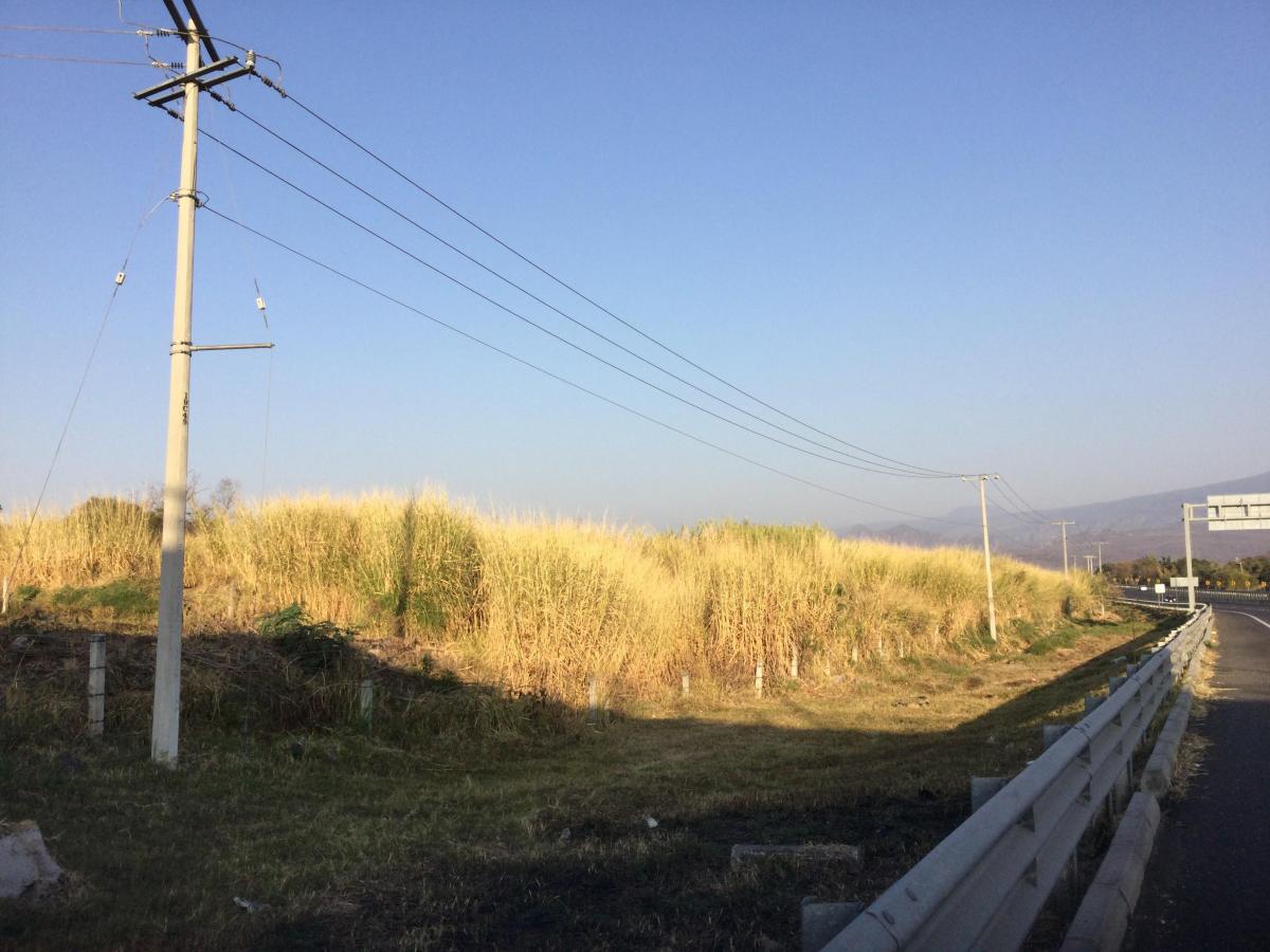 Oaxtepec Terreno