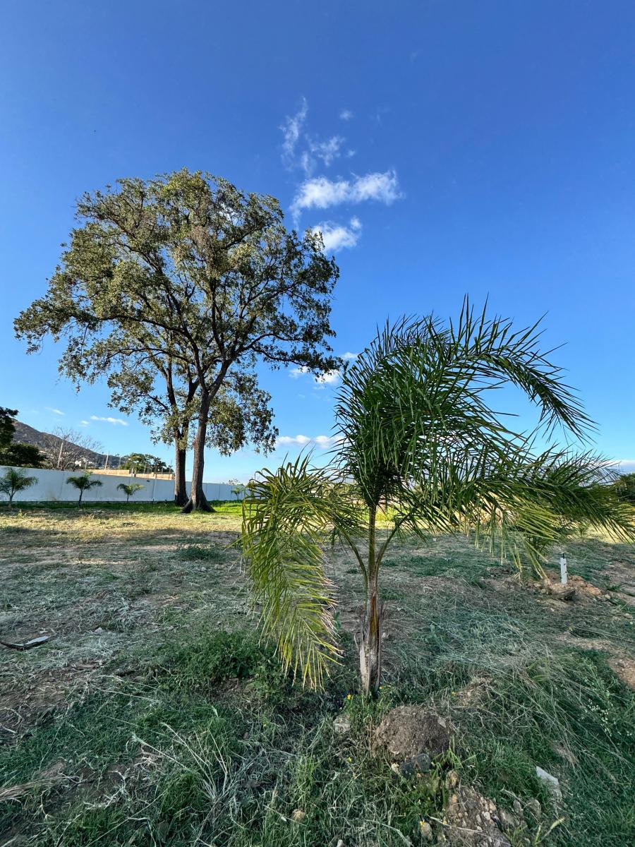 Lote Residencial en Arboreo Hábitat