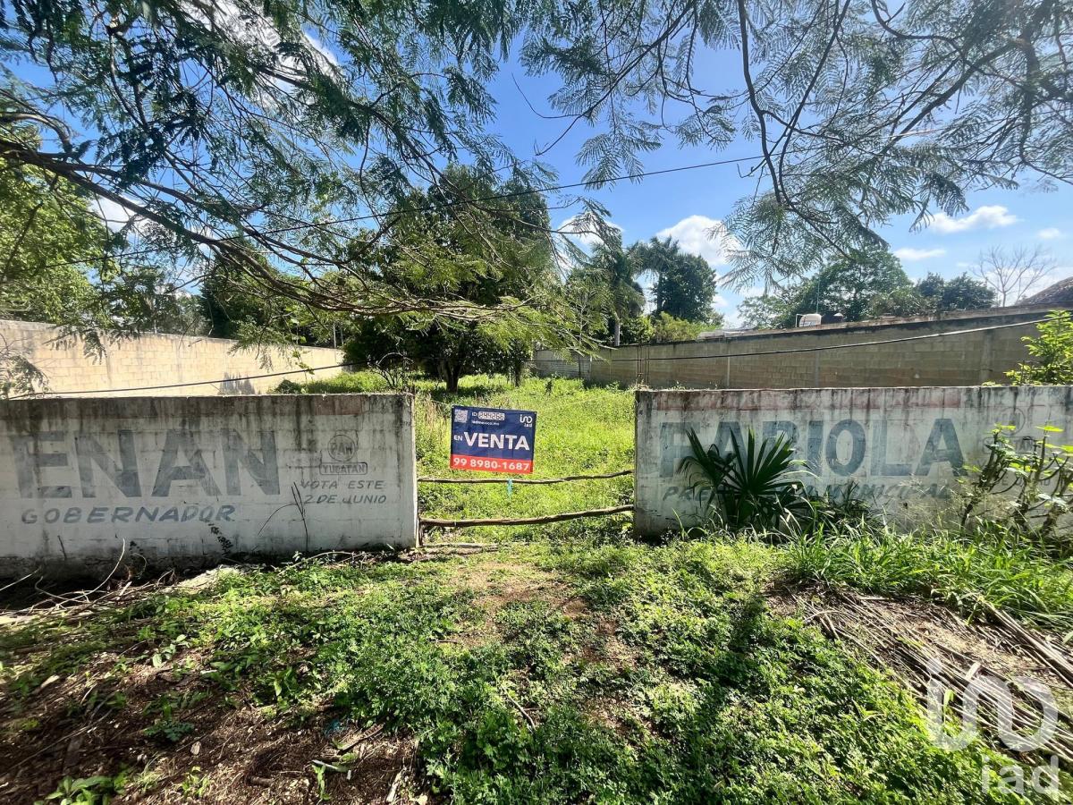 Sale of Land at the Entrance to Tekax, Yucatán