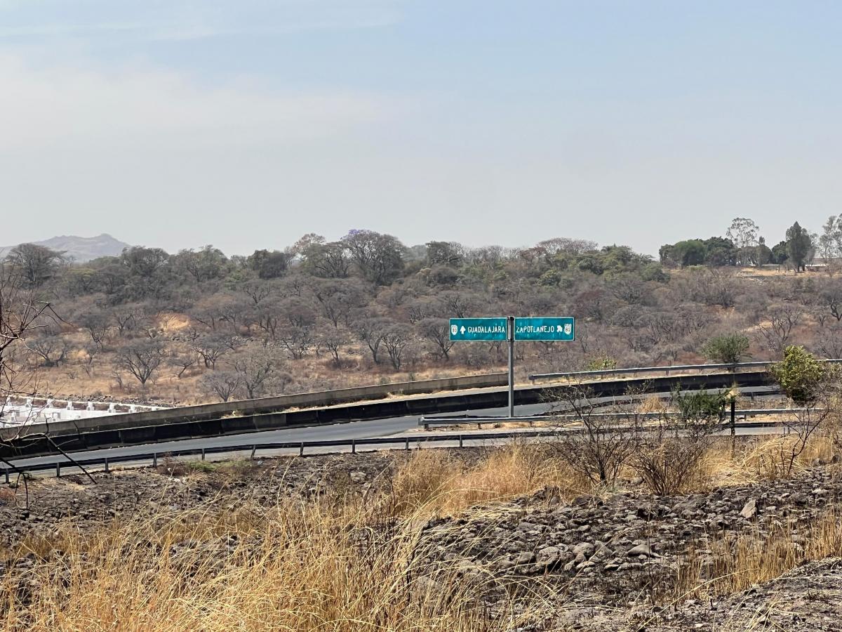 Land for Sale in Los Altos Puente Grande