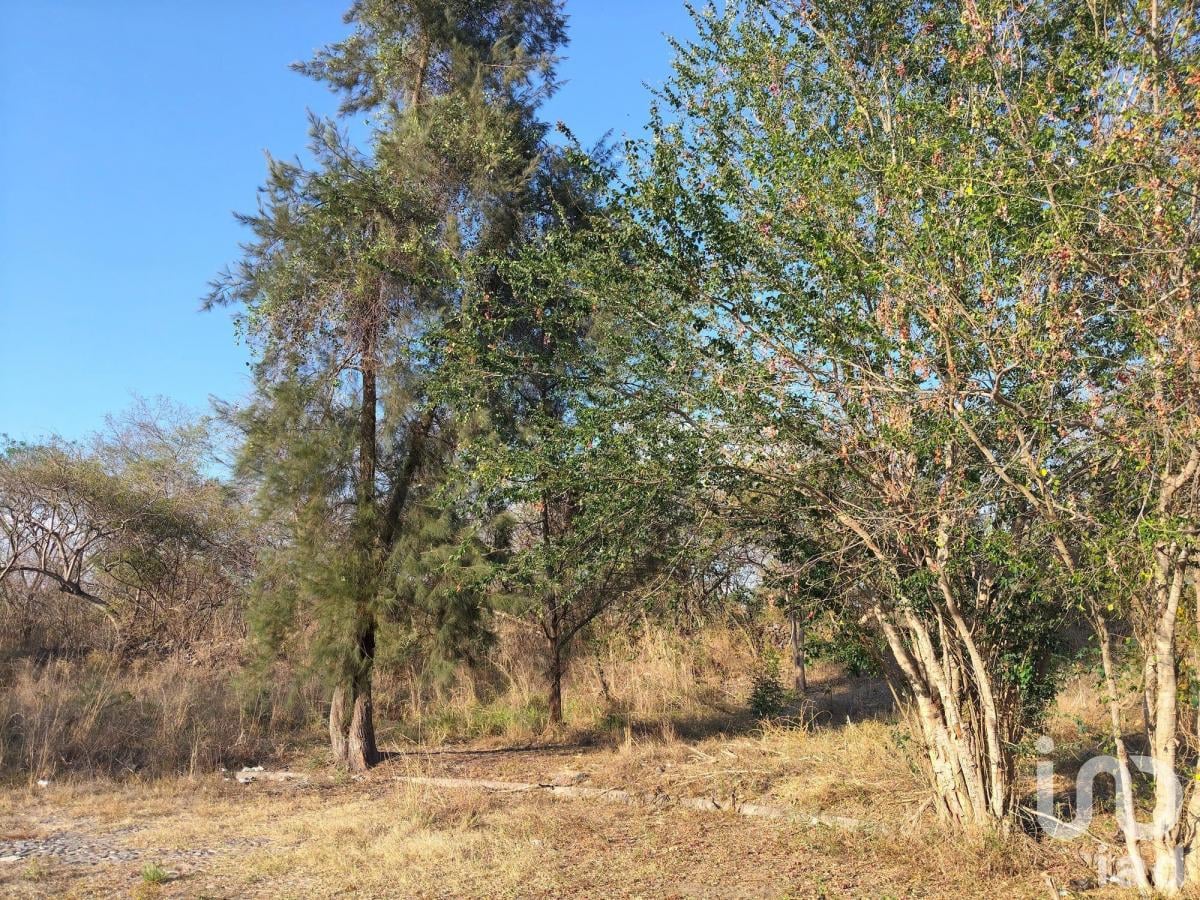 Rural Plot in Comala