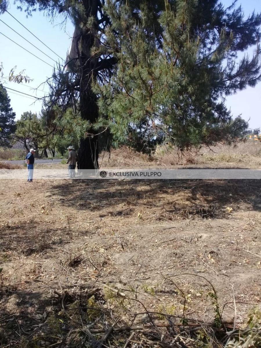 Terreno Residencial en Venta en Centro