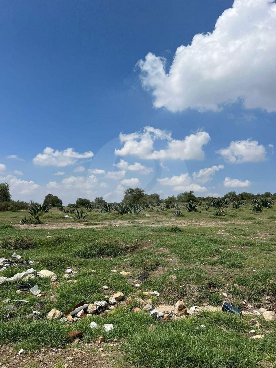Residential Land for Sale in La Cañada