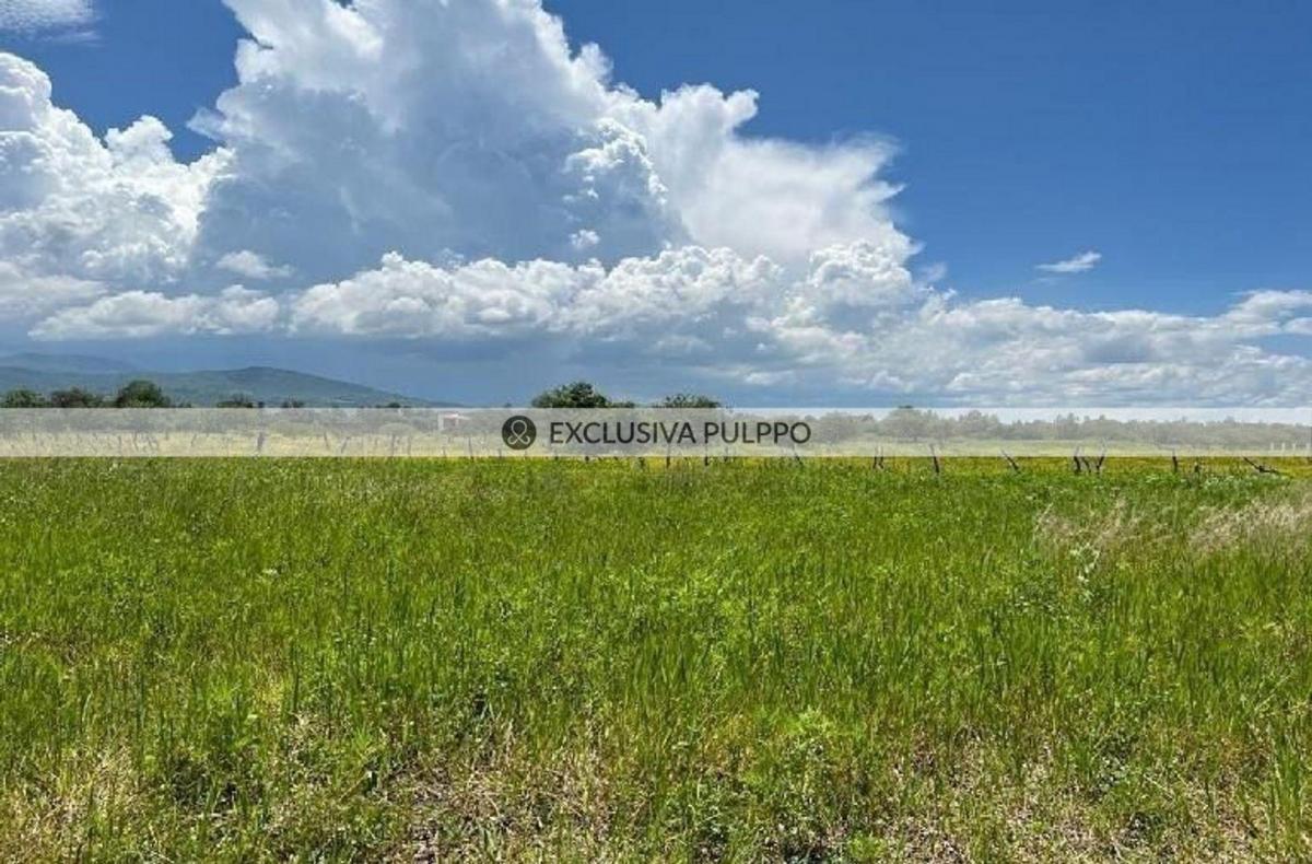 Residential Land for Sale in Villa Corona Centro