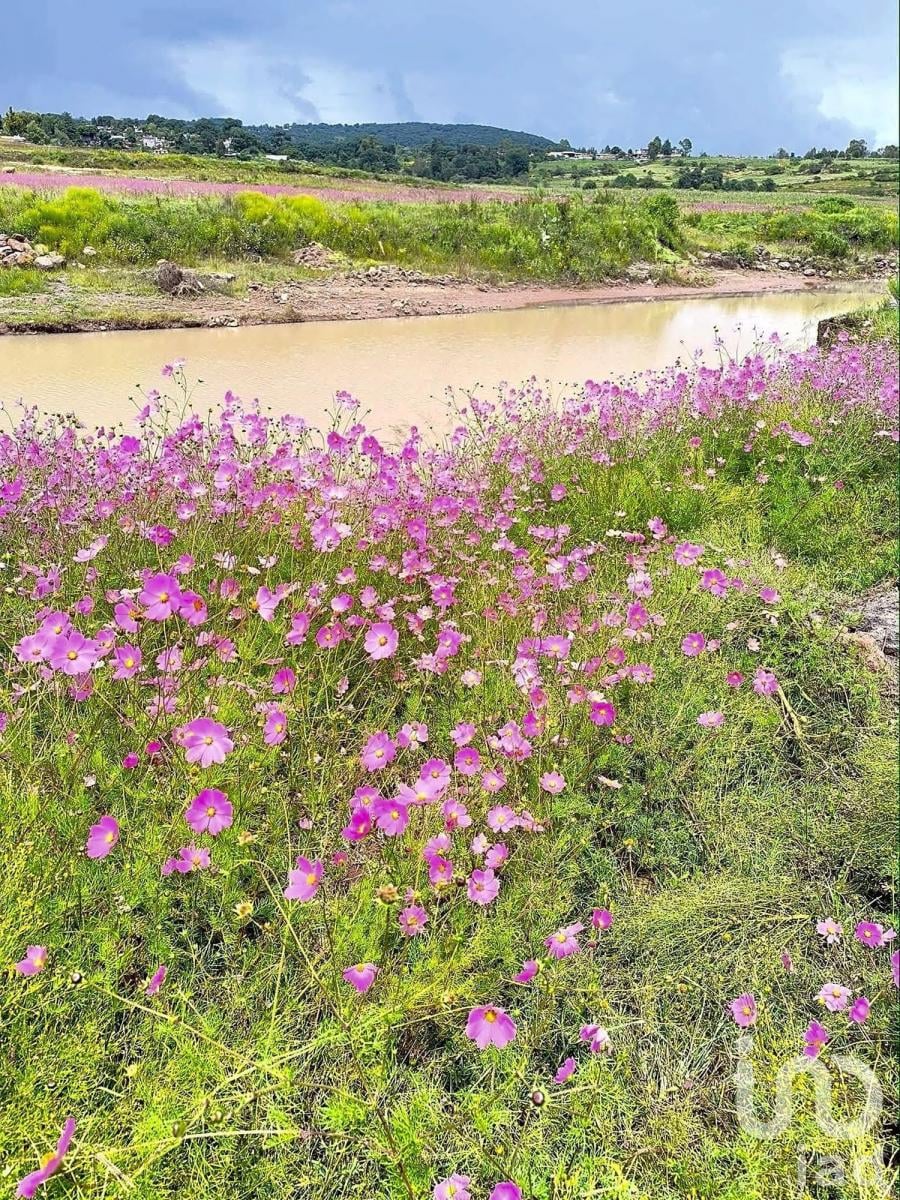 Terreno a Orilla de Arroyo