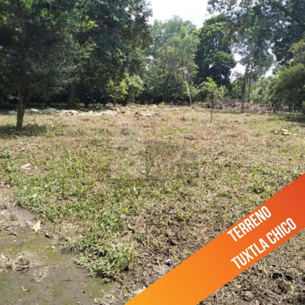 Industrial Land for Sale in Talismán Village, Tuxtla Chico, Chiapas